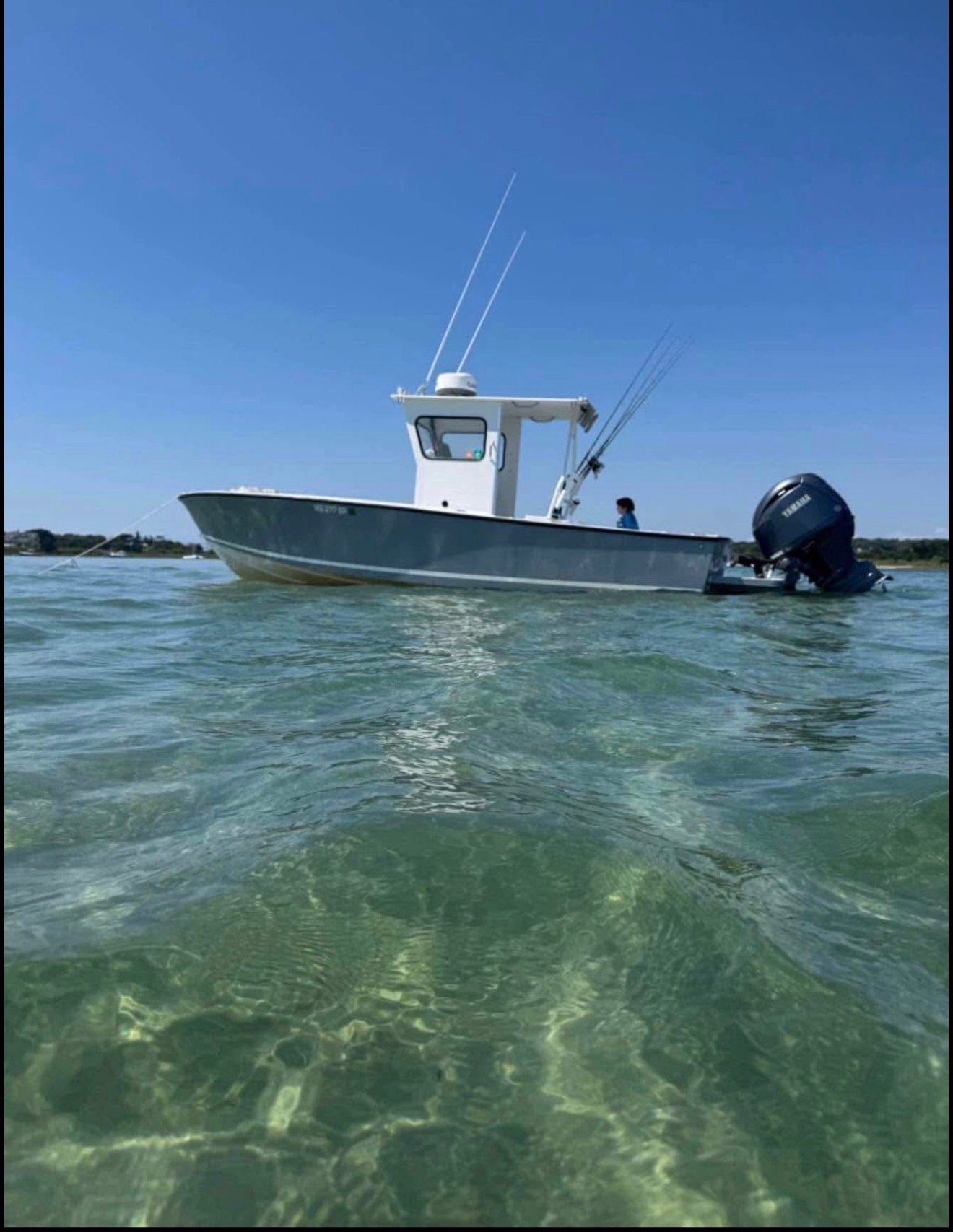 1971 Formula 233 photo